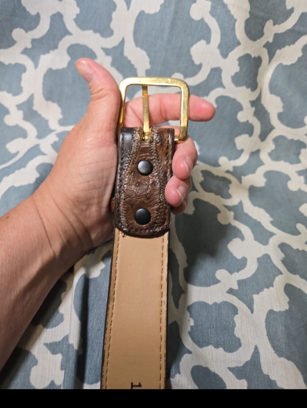NWT NOCONA WESTERN COWBOY OSTRICH BELT SZ 34 RODEO - Picture 5 of 8